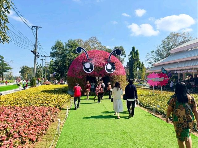 A Floral Wonderland Awaits
