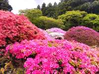 つつじと富士山の雄姿！山のホテルの大庭園　