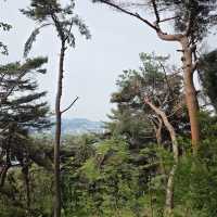 N Seoul Tower (Namsan Tower)