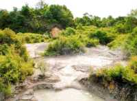 #波胡圖間歇噴泉Pohutu Geyser -紐西蘭羅託魯瓦