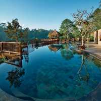 A Hidden Paradise Among the Treetops