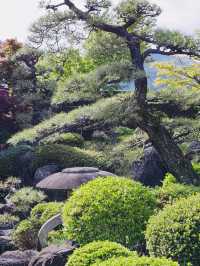 The Wonderful Saito Villa in Niigata