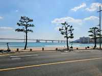 รีวิวโรงแรมริมหาด Hotel Aqua Palace ปูซาน,เกาหลี