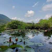 嘉道理農場暨植物園（Kadoorie Farm and Botanic Garden）