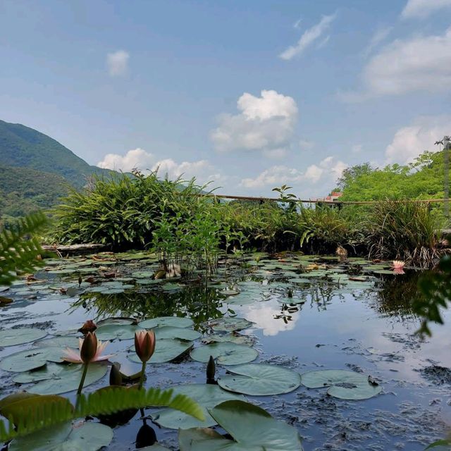 嘉道理農場暨植物園（Kadoorie Farm and Botanic Garden）