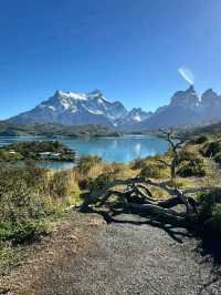 Epic Journey on the W Trek