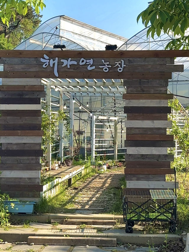 직접 키운 재료로 만든 건강한 수제만두 샤브샤브 찐맛집은 바로 여기!