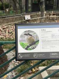 예쁜 풍경이 있는 홍콩의 동식물원 💛