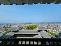 Title: Matsuyama Castle – A Timeless Sentinel Overlooking Ehime