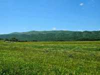 Skyline Adventures: Hiking Through Shenandoah’s Blue Ridge Beauty