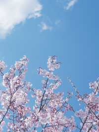東海道新幹線：大阪去福島只需四小時