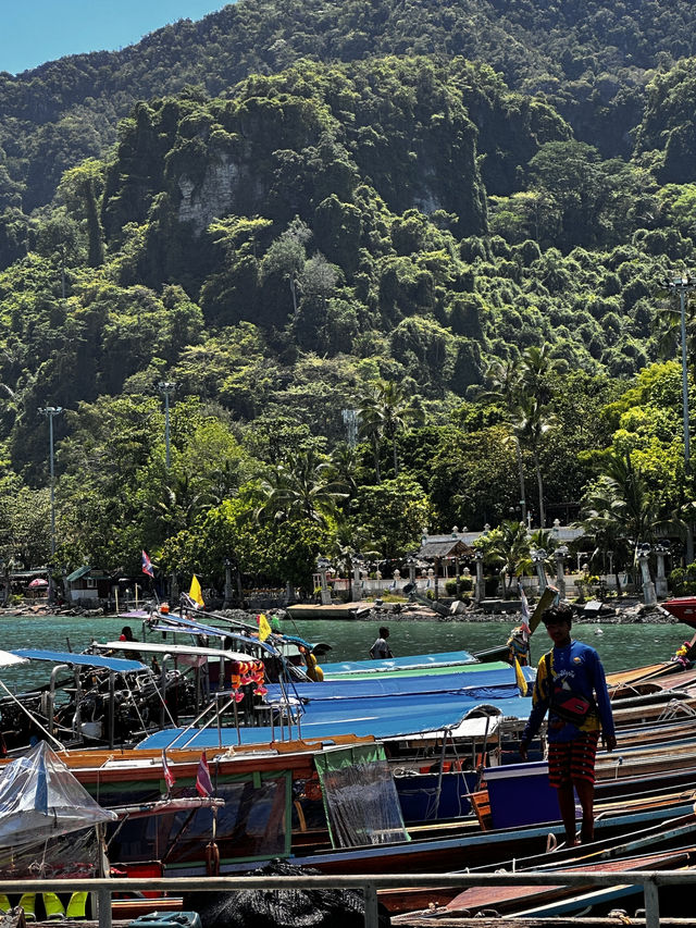 Phi phi paradise accommodations 