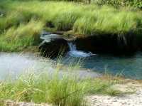 The ascent to Mount Pundaquit : Anawangin Trailblazer's tale
