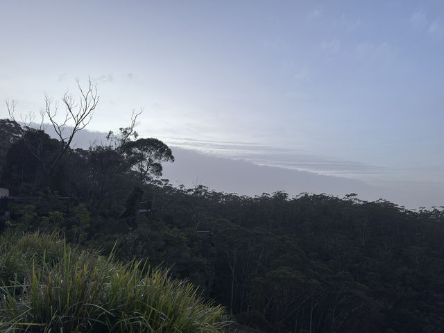 2 Days in Katoomba