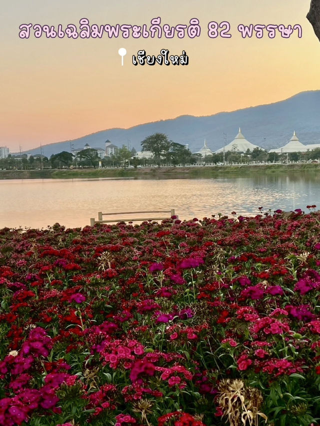 สวนเฉลิมพระเกียรติ 82 พรรษา @เชียงใหม่🌷✨