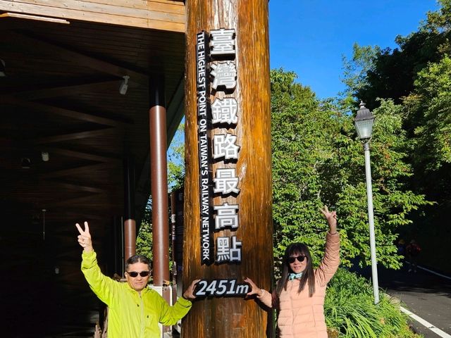 行！走入超完美芬多精仙境～阿里山森林公園