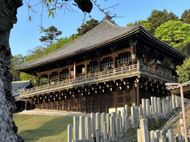 Nara is beyond just wild deers