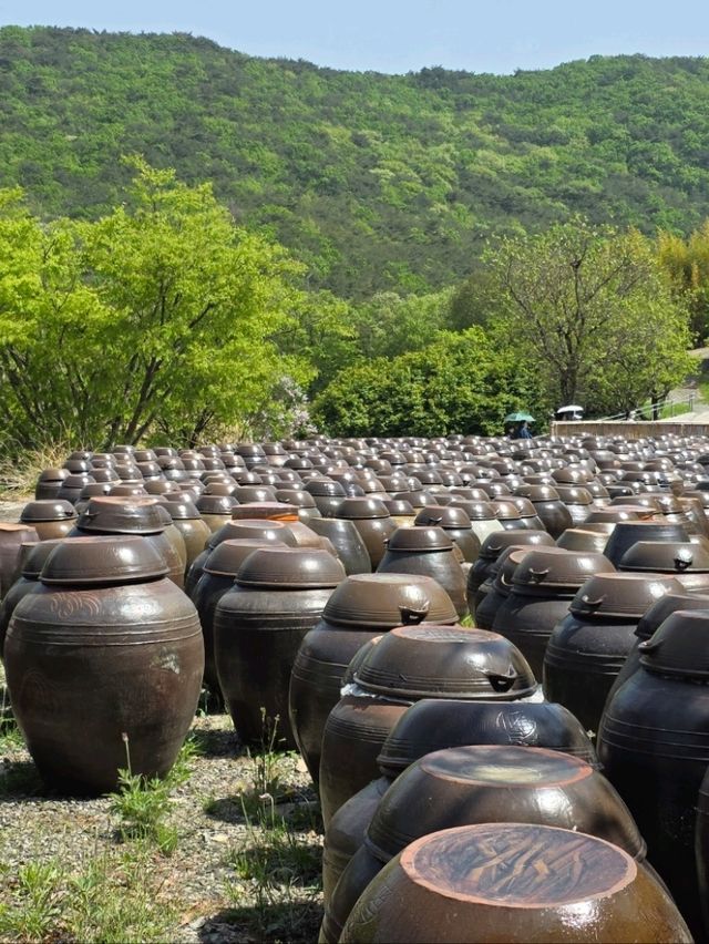 통도사 금낭화동산