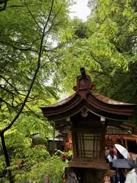 京都｜到貴船神社抽水籤 春有綠意秋楓紅 感受京都絕美詩意