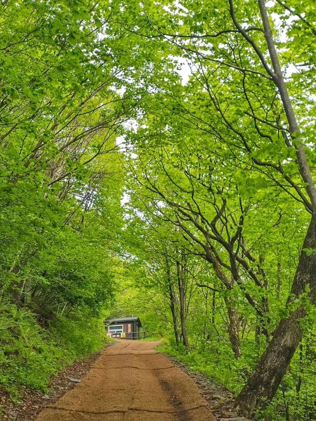 Hiking to Cheonjedan Was a Whole Mood