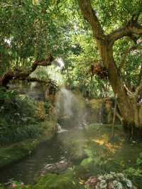ชมคาเฟ่ เชียงใหม่  (CHOM CAFE AND RESTAURANT)