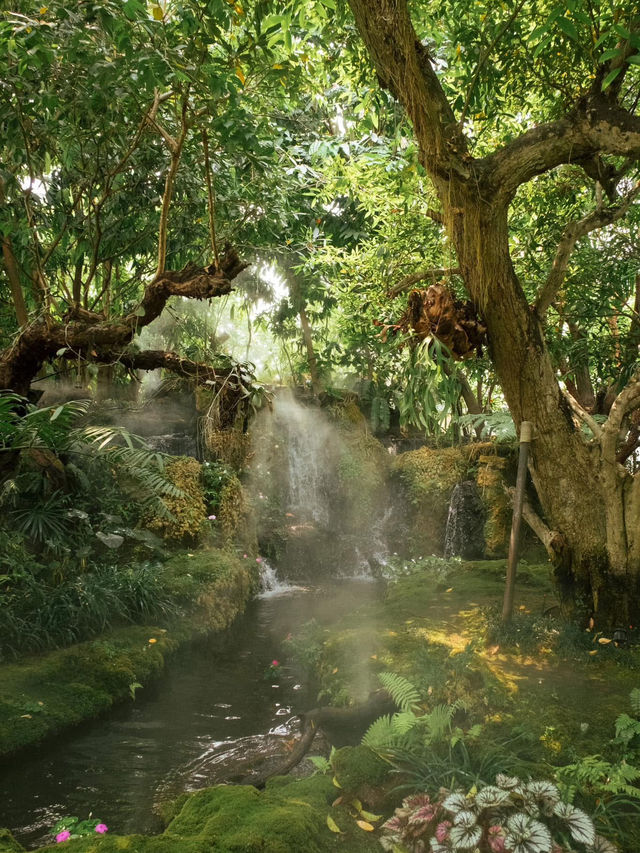 ชมคาเฟ่ เชียงใหม่  (CHOM CAFE AND RESTAURANT)