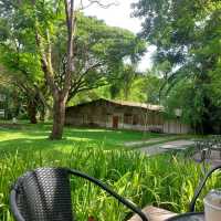 คาเฟ่โรงบ่ม เก๊าไม้ล้านนา เชียงใหม่