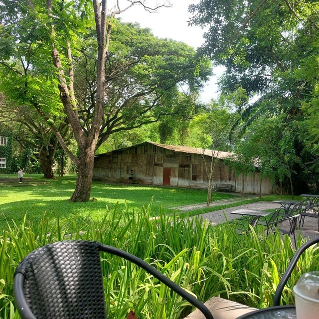 คาเฟ่โรงบ่ม เก๊าไม้ล้านนา เชียงใหม่