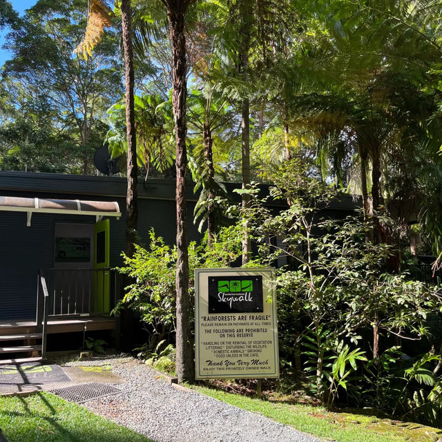 Discover a Hidden Gem: Tamborine National Park Near Brisbane