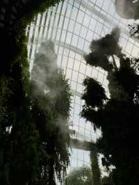Cloud Forest Singapore🌴🦖