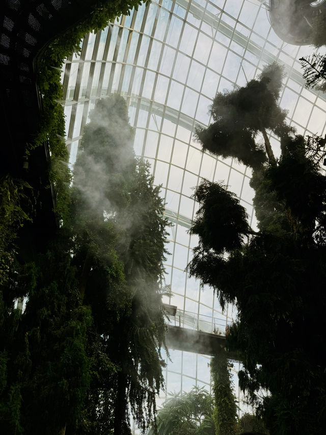Cloud Forest Singapore🌴🦖