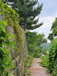 Hidden History & Chill Walks at Deokjinjin Fort