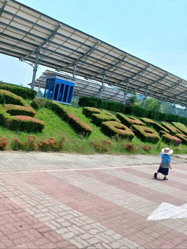 고성 공룡엑스포 행사장 공원