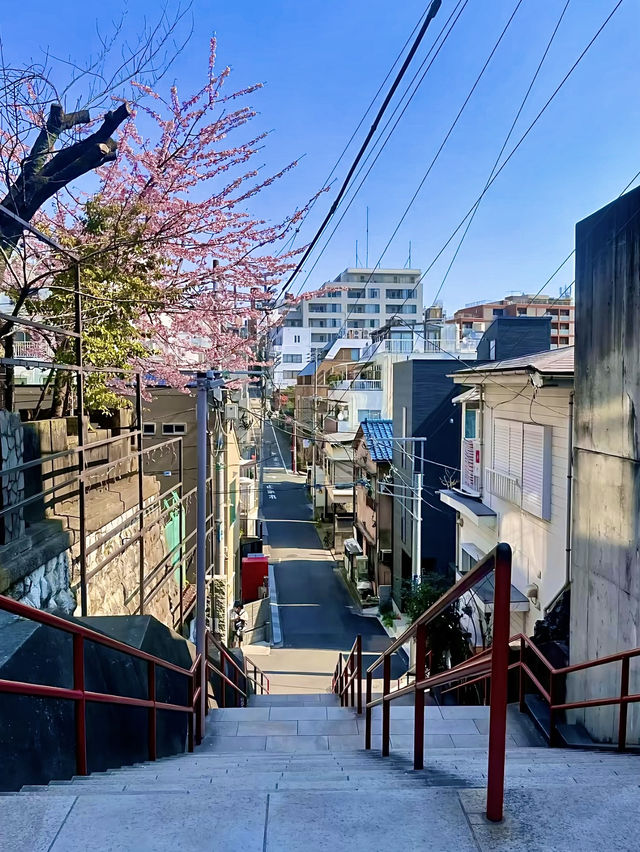 โอซาก้า🇯🇵