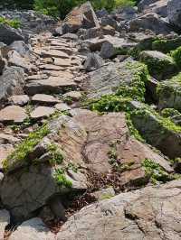 Easy Wandering on Dalma Mountain’s Ancient Road