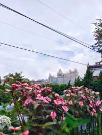 บานาฮิลล์ในวันเร่งรีบ🇻🇳