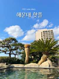 해운대 핫플 여행지 추천! (1편) 🌊🐳🦀