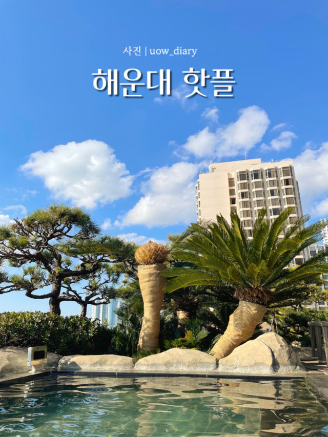 해운대 핫플 여행지 추천! (1편) 🌊🐳🦀