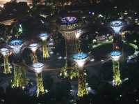 Light And Sound Show ที่ Gardens By The Bay