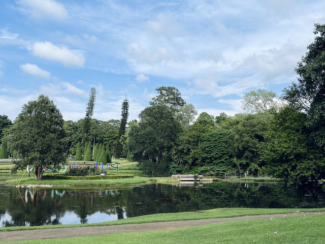 Nature Escape in Pyin Oo Lwin 🌸✨ | Lake, Gardens & Bird Park Adventure