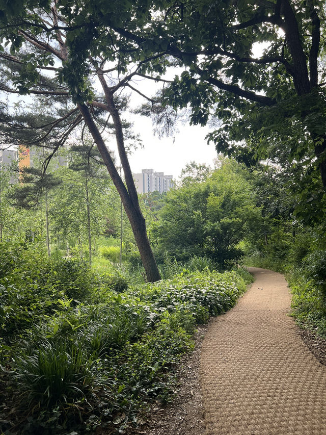 옛길과 명일원터 가로 공원
