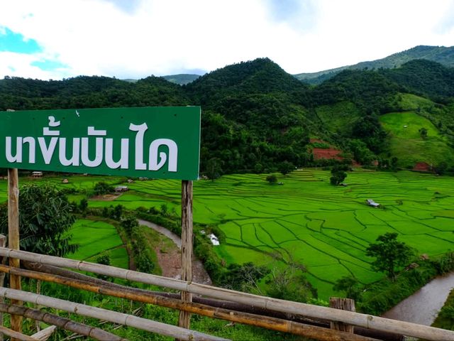🌾นาขั้นบันได บ้านเวร จ.น่าน🌾