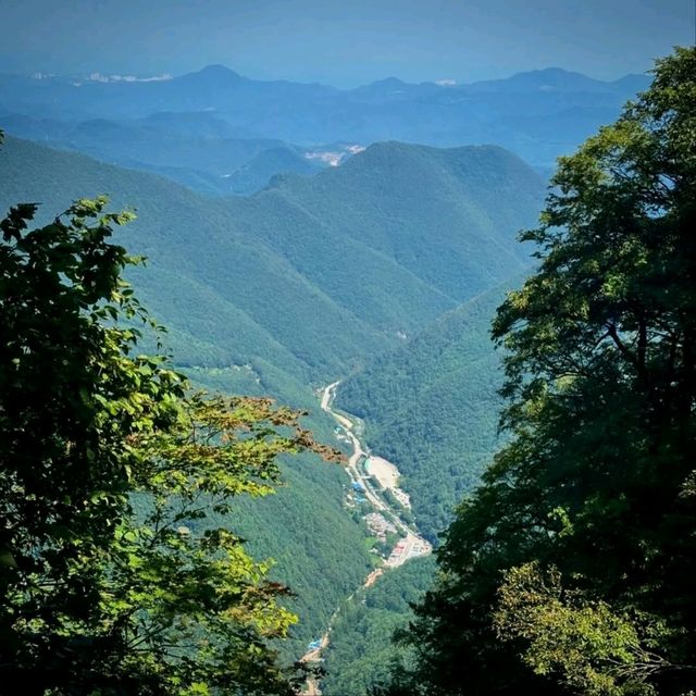 Hidden Gem with Big Forest Energy