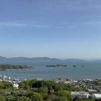 【岡山】牛窓オリーブ園