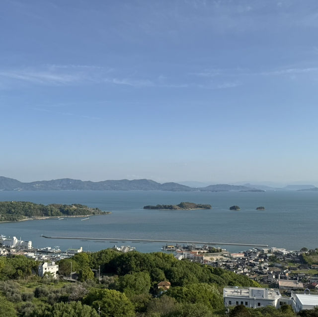 【岡山】牛窓オリーブ園