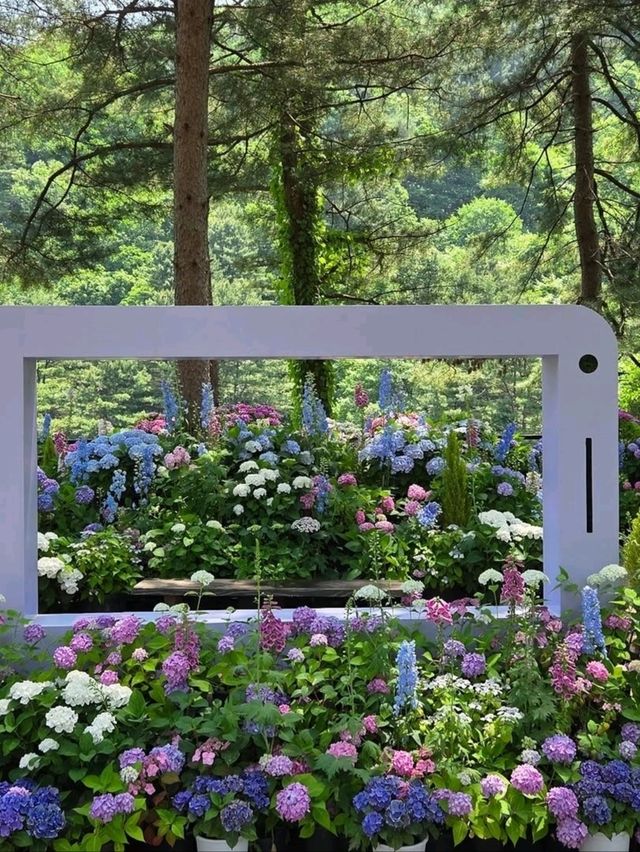 Wandering Around Achimgogyo Arboretum