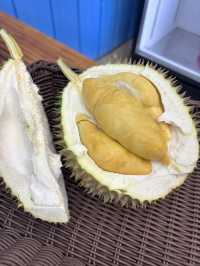 我的脂肪來自檳城榴槤