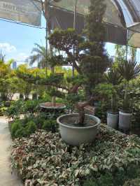 Coffee & Quirks: Budget Chill Spot Hidden in Desaru’s Green Corners
