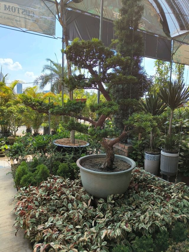 Coffee & Quirks: Budget Chill Spot Hidden in Desaru’s Green Corners