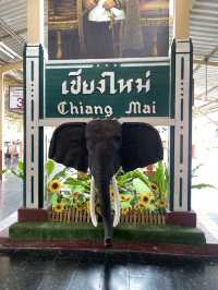 เชียงใหม่แบบประหยัด~ 